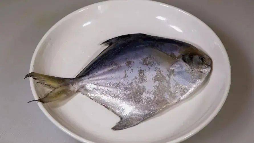 浙江男子从受伤到离世仅9天！起初伤口才米粒大……
