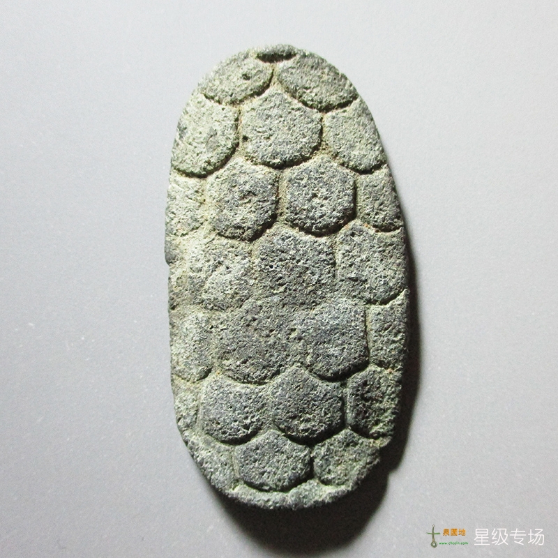 乌龟币(乌龟币怎么充值)