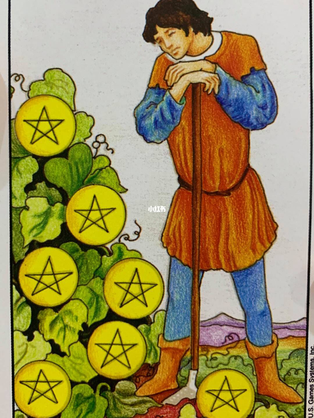 星币一(星币一逆位对方对我的想法)