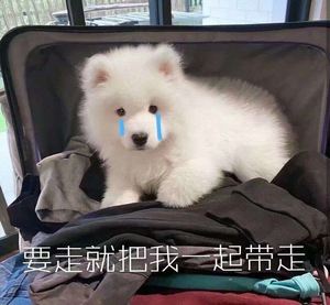名朋圈币(名朋圈币日是几号)