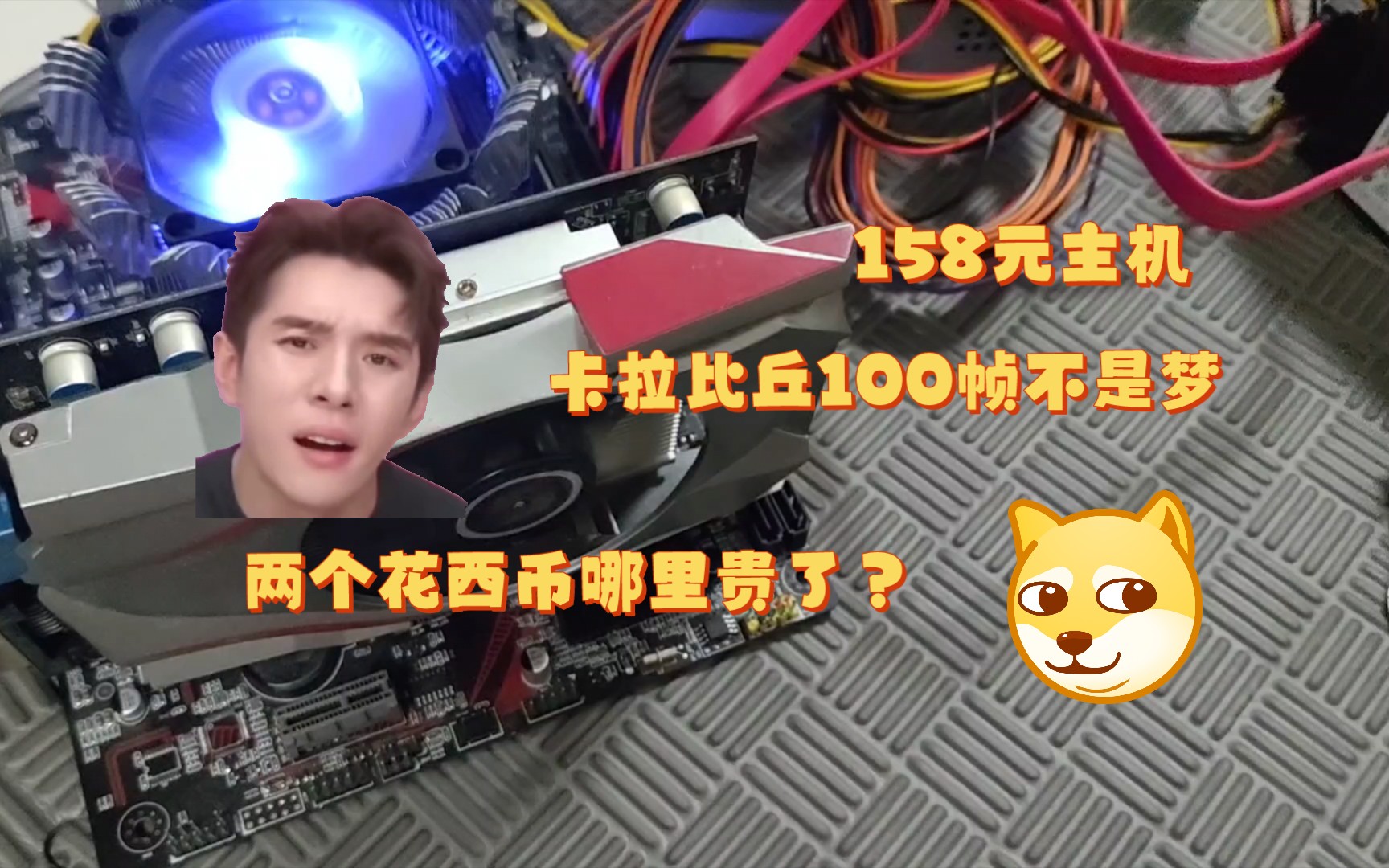 西币(西乐葆的功效与作用)