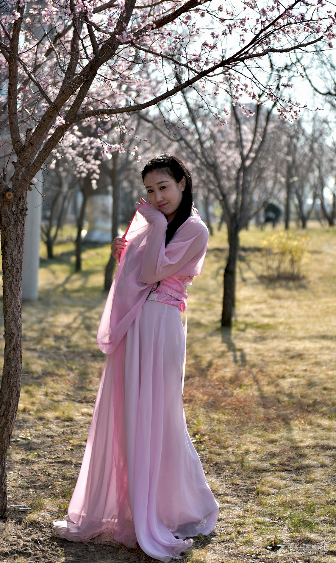 币月羞花(花羞月效果怎么样)