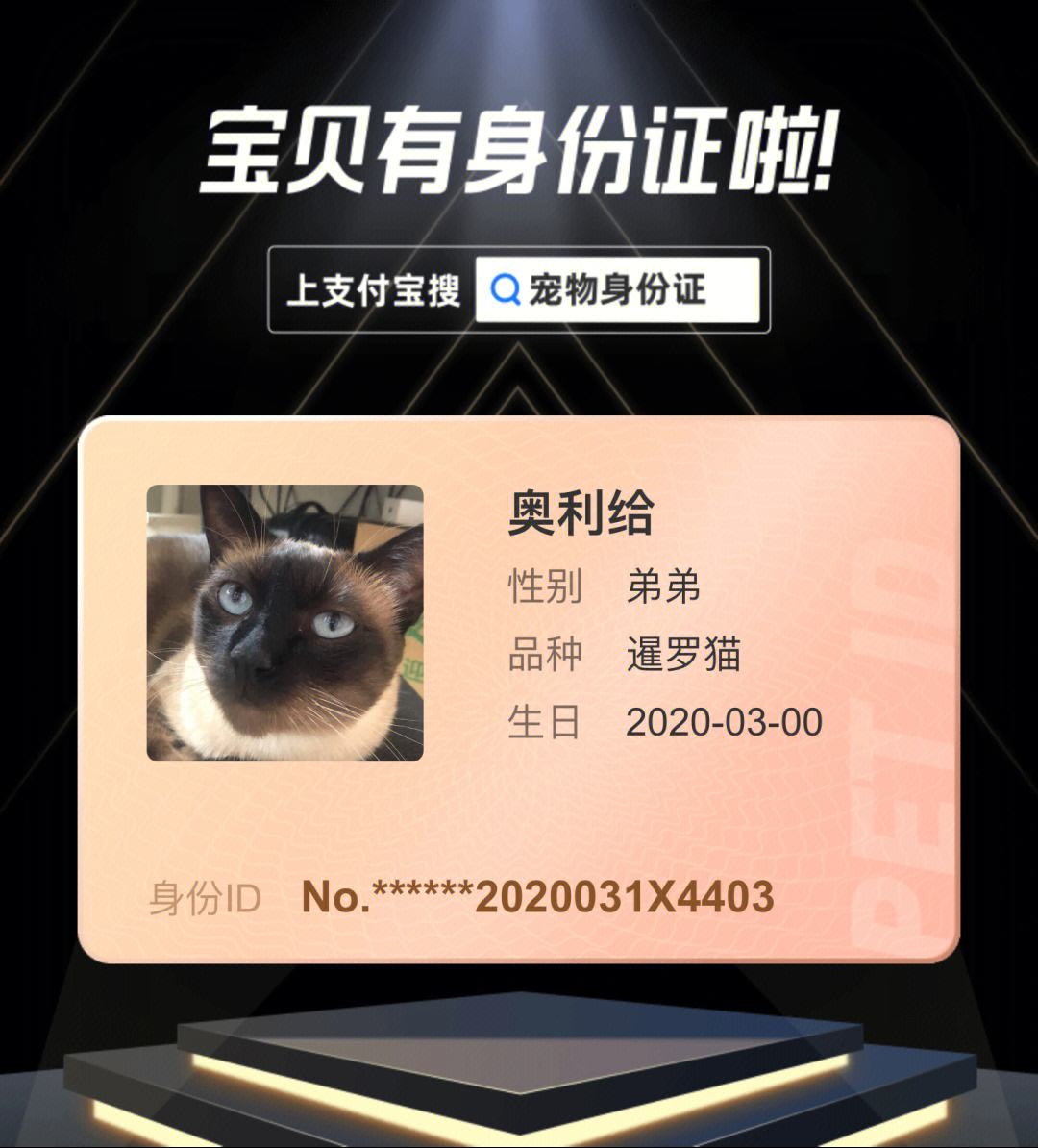喵喵币(喵喵币攻略)