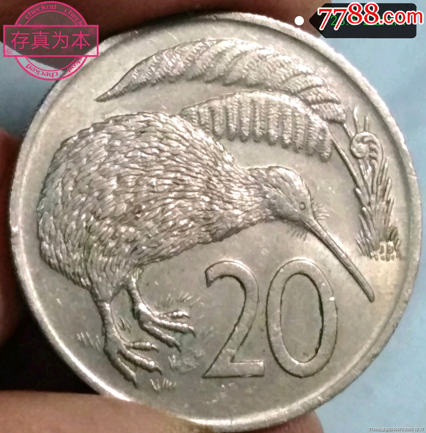 币鸟(币鸟读什么字)