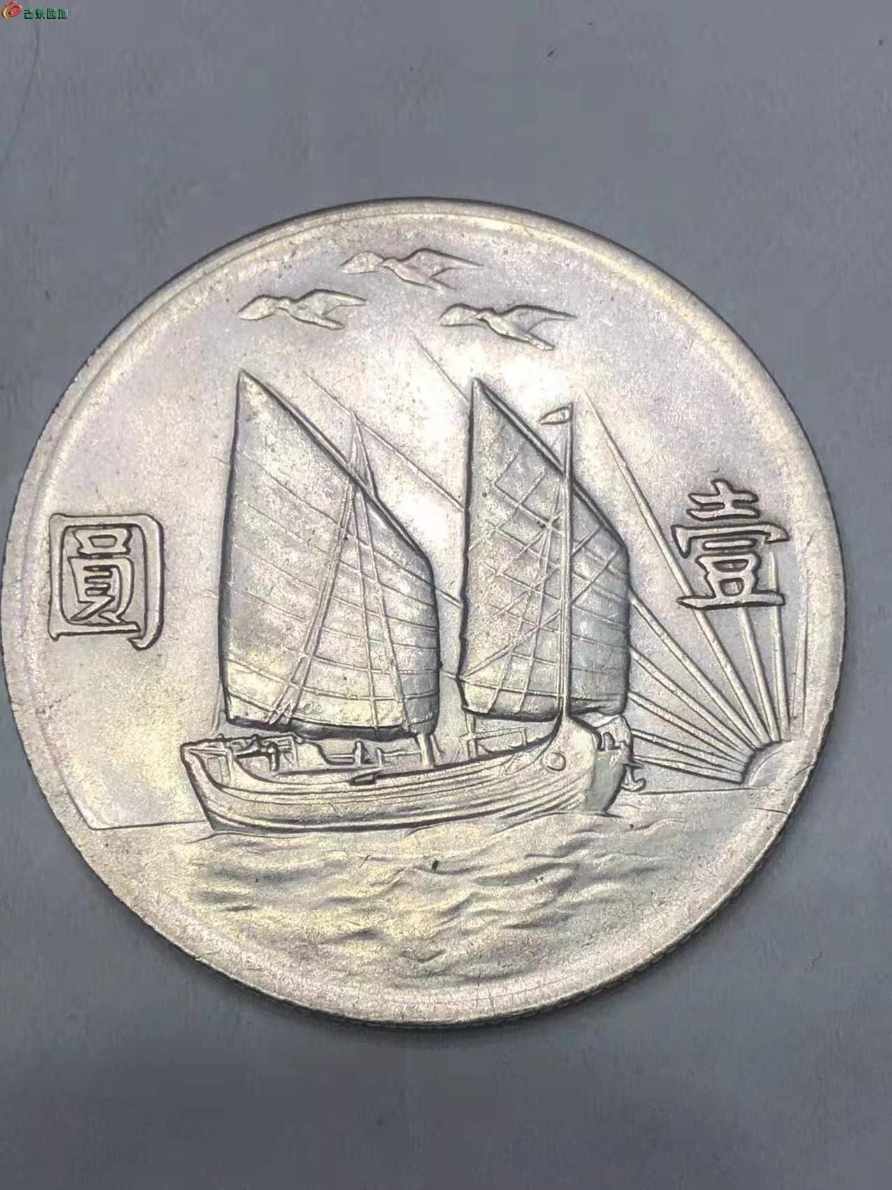 币鸟(币鸟叫声)