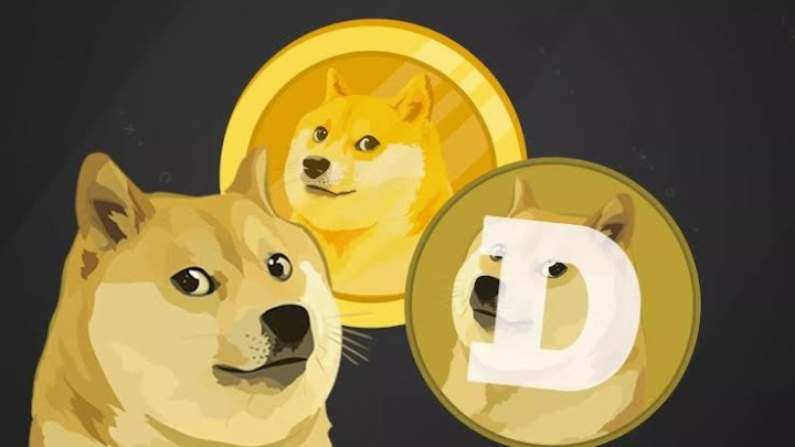 币狗行情(狗币行情最新价格行情)