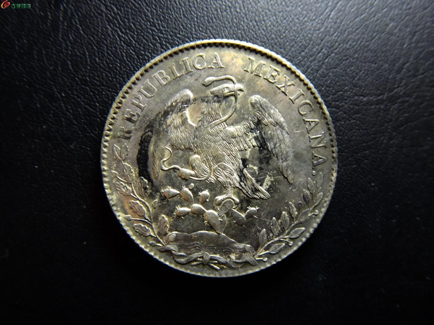 鹰币88(鹰币1884年的到底值钱)