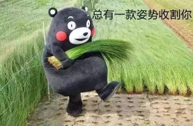 炒币群(炒币群都在哪)